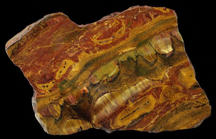 Marra Mamba Stromatolite - Mt Brockman ( Billion Years) #63097